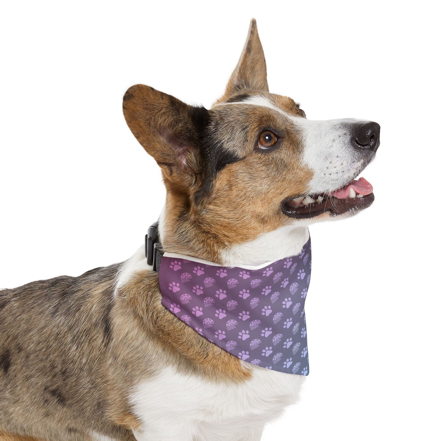 Furry Companion - CCS Bandana