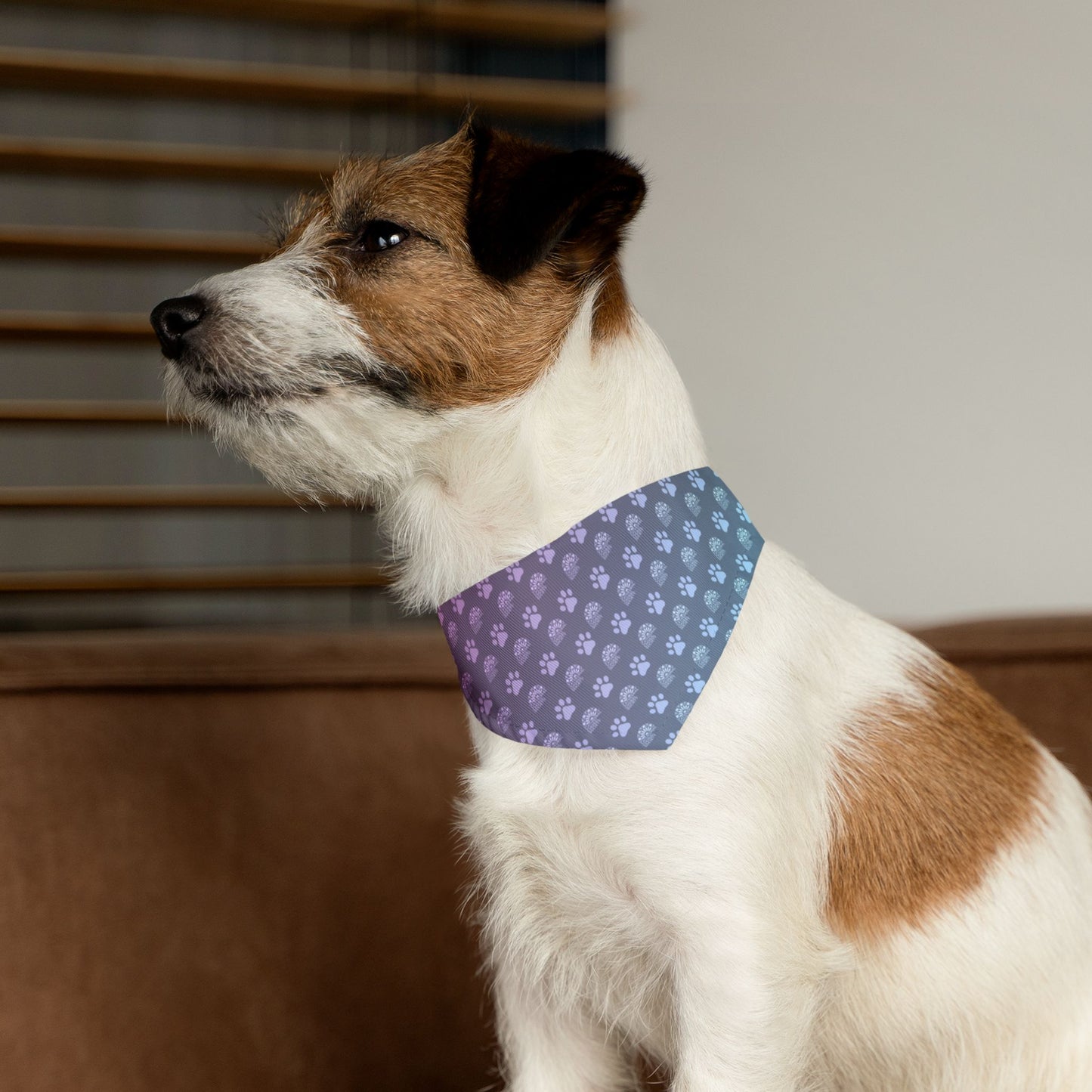 Furry Companion - CCS Bandana