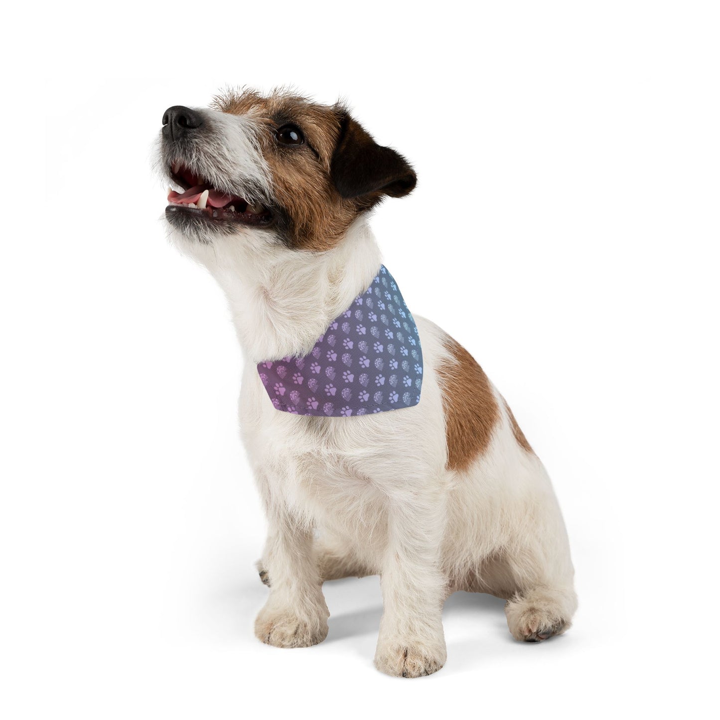 Furry Companion - CCS Bandana