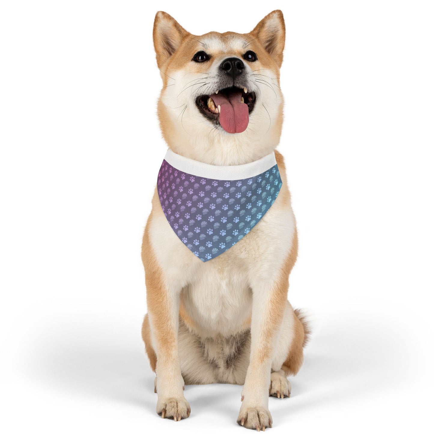 Furry Companion - CCS Bandana