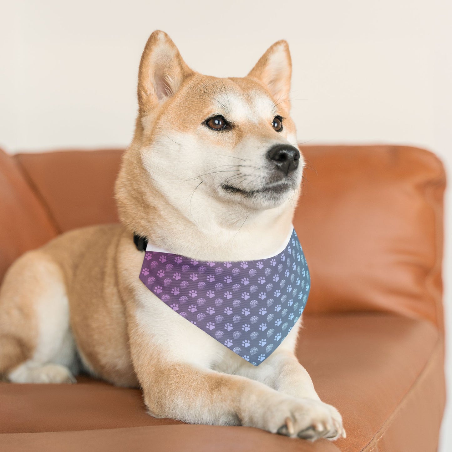 Furry Companion - CCS Bandana