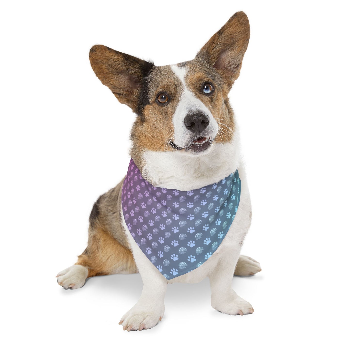 Furry Companion - CCS Bandana